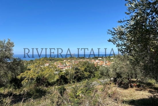 Terreni agricoli con vista mare a Cirella