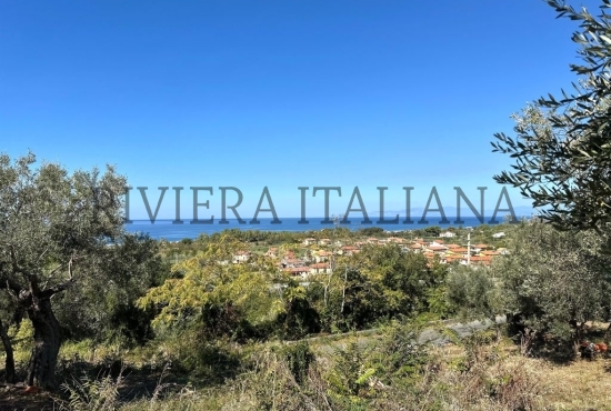 Terreni agricoli con vista mare a Cirella