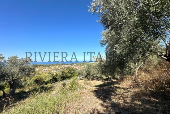 Terreni agricoli con vista mare a Cirella