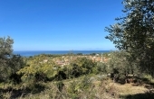 Terreni agricoli con vista mare a Cirella