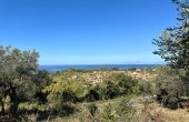 Terreni agricoli con vista mare a Cirella